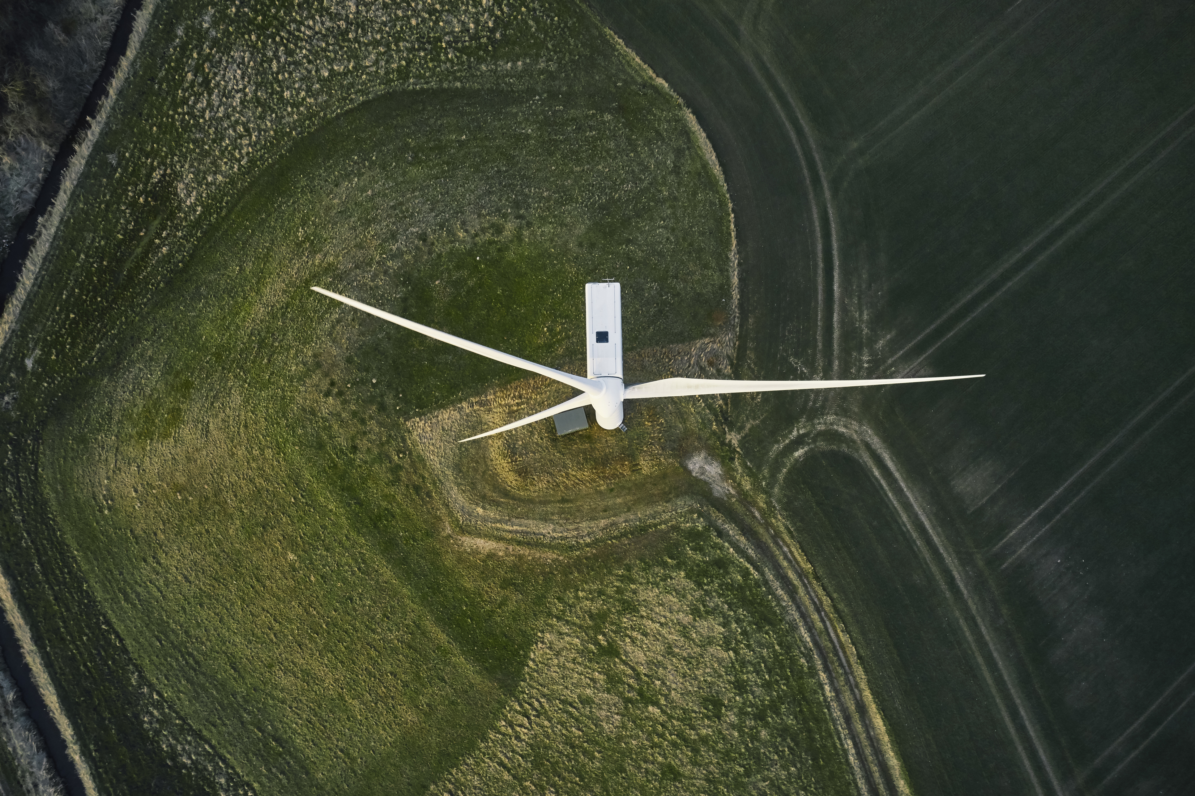 Renewable